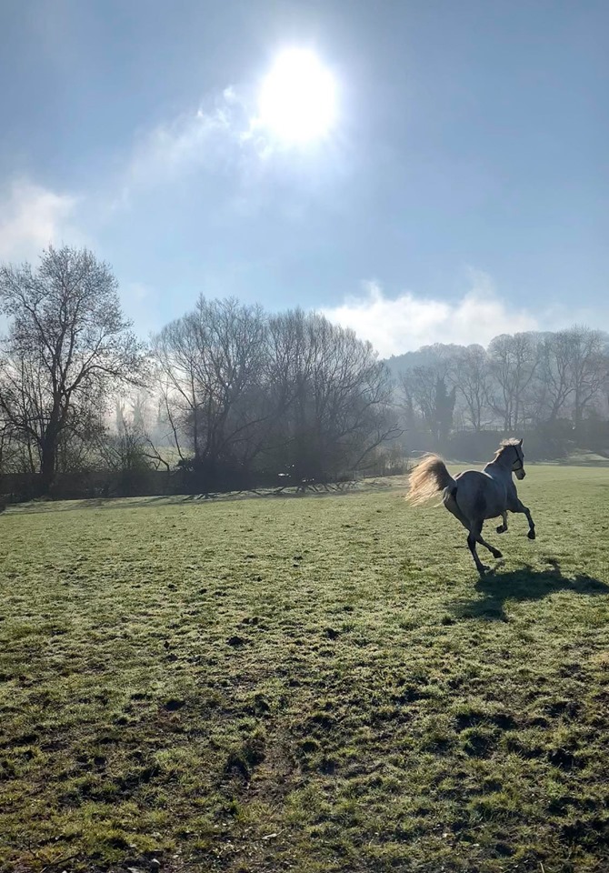 Larry enjoying the sunshine